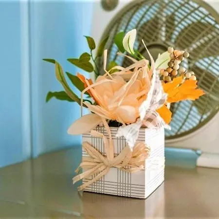 Apartman Kristin Pátra